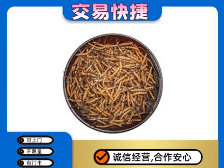 海西天峻县礼品回收虫草.jpg